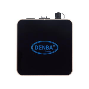 DENBA Health Charge